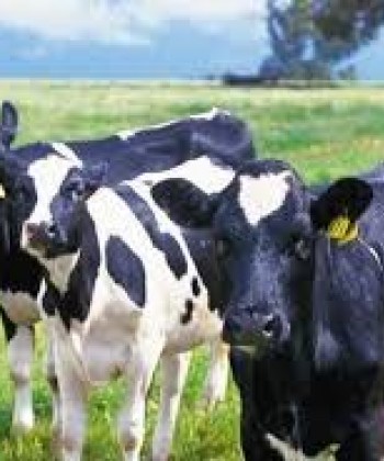LIVESTOCK PRODUCTION AND MANAGEMENT