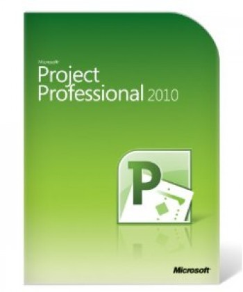 Professional Project
