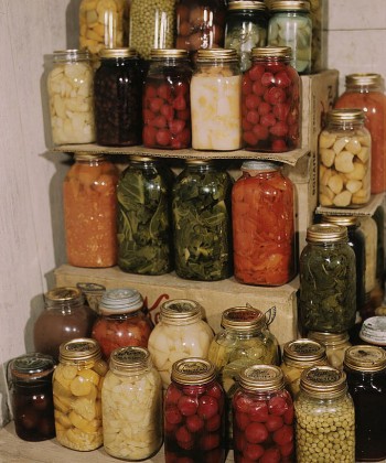 Food Processing and Preservation 