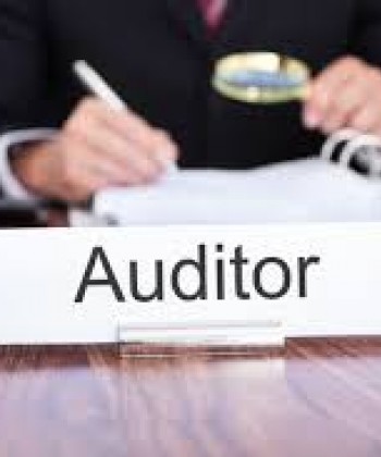 procurement audits and investigation