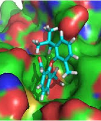 ENZYMOLOGY