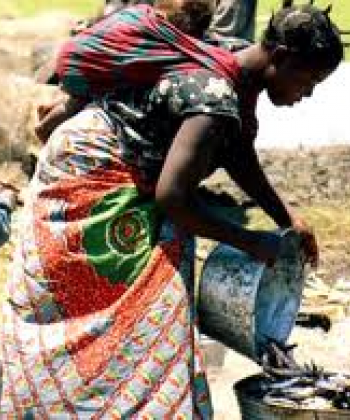 Dynamics of African Livelihoods