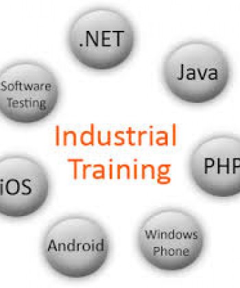 Industrial Training 